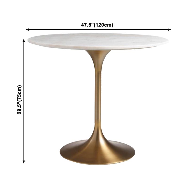 Round Tulip Base Glam Dining Table White Fixed Table with Sintered Stone