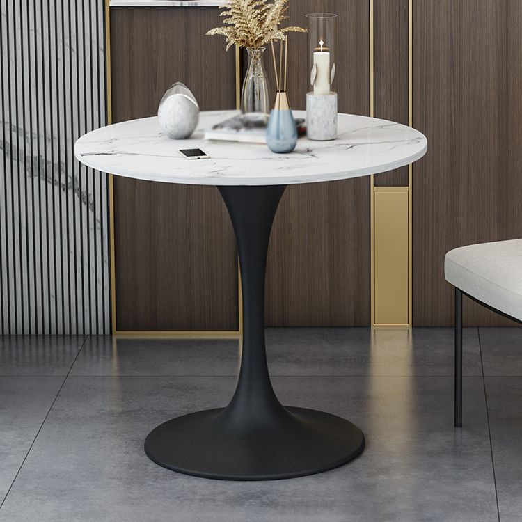 Modern 1/2/5 Pieces Sintered Stone Dining Set Dining Furniture Set /Separate Items