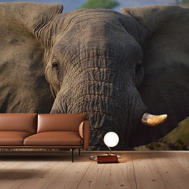 Contemporary Elephant Portrait Mural Stain Resistant Wall Art for Living Room