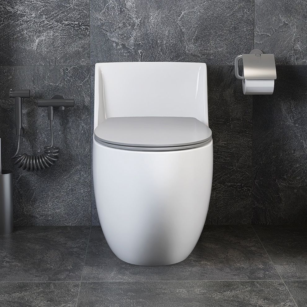 Modern Elongated Toilet Bowl Siphon Jet Flush Toilet with Seat