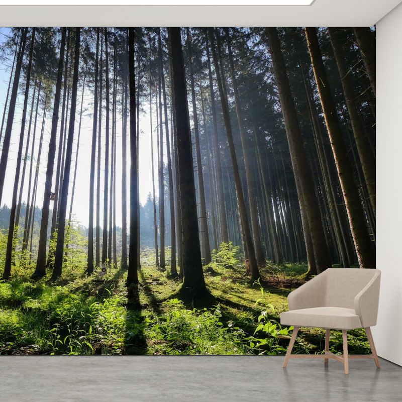Huge Forest Mural Horizontal Photography Wall Covering for Dining Room