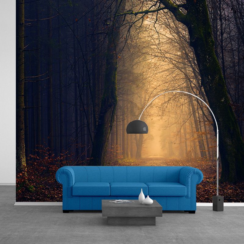 Stain Resistant Photography Forest Pattern Wallpaper Home Decoration Wallpaper