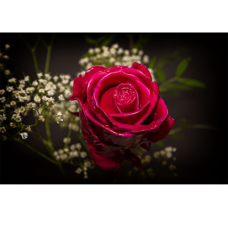 Papier peint mural Rose pour décoration de chambre à coucher, couleur vive pour la décoration de la maison, résistant à l'humidité