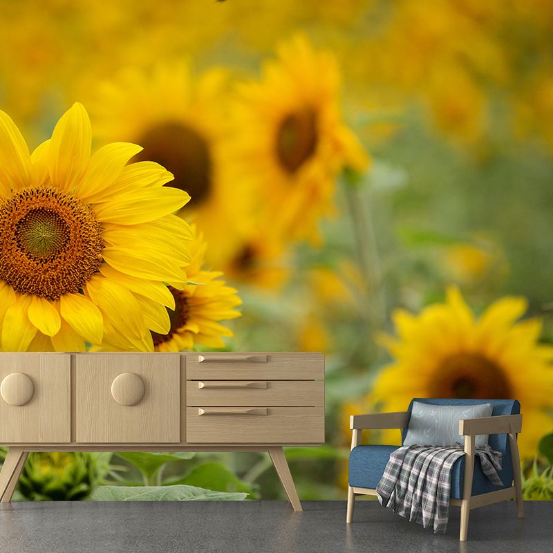 Modern Sunflower Mural Wallpaper Stain Resistant Wall Covering for Living Room