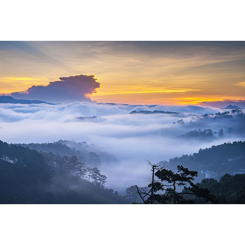 Customized Modern Sky Wall Mural Moisture Resistant Wall Covering for Sleeping Room