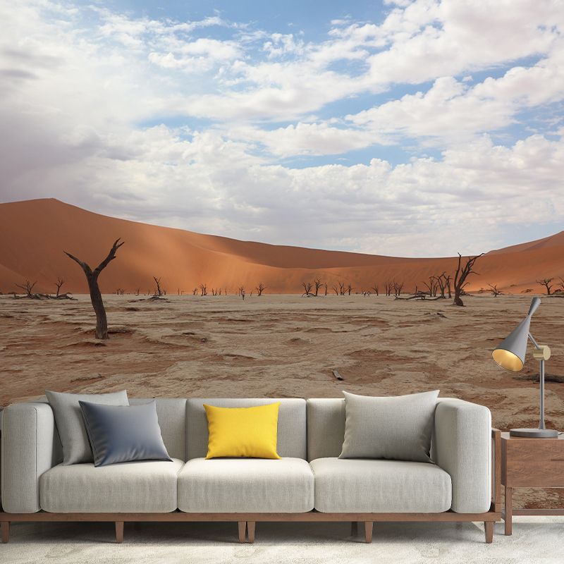 Contemporary Photography Style Desert Mural Wallpaper Mildew Resistant Wall Art