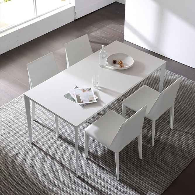 Modern Style Rectangle Table Set 1/2/4/5/6/7 Pieces Dining Set with Metal Legs