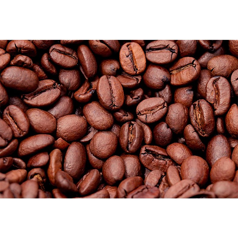 Photography Coffee Beans Wallpaper Murals Environment Friendly for Coffee Shop