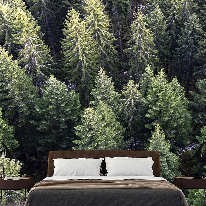 Nature Photography Style Forest Mural Wallpaper Mildew Resistant for Room