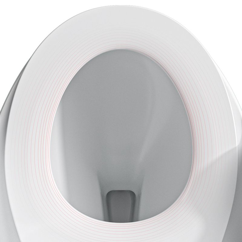 Contemporary Ceramic Toilet Floor Mount Urine Toilet with Slow Close Seat for Bathroom