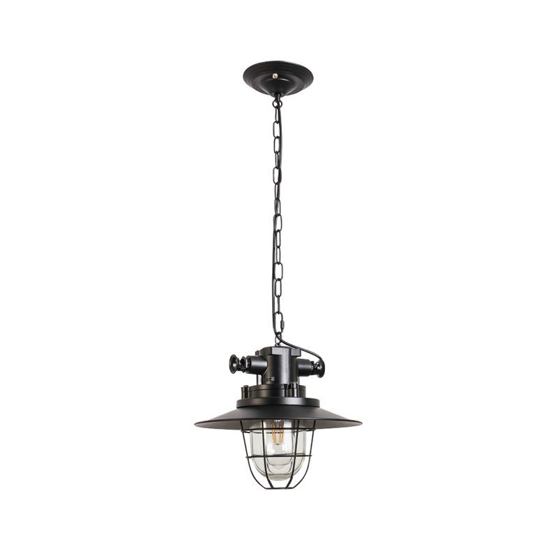 1-Head Wire Cage Pendant Light Industrial Black Metal Suspension Lamp with Clear Glass Shade