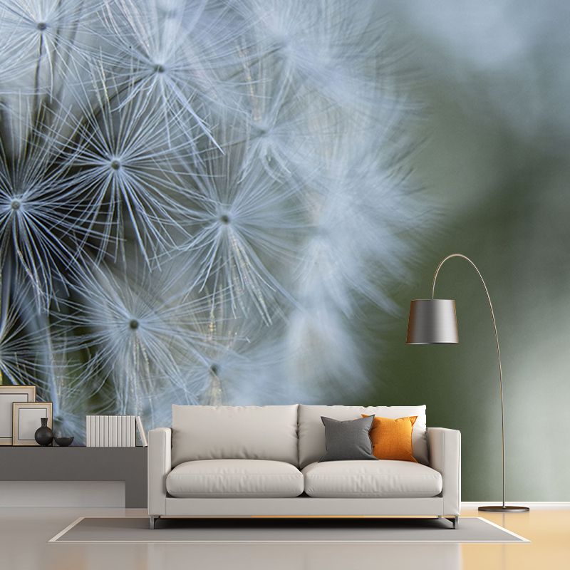 Seed Dandelion Full Size Wall Covering for Reading Room, Customized Size Available