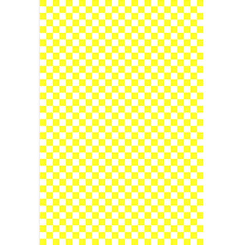 Simple Checkered Pattern Carpet Polyester Indoor Rug Pet Friendly Area Rug for Home Decoration