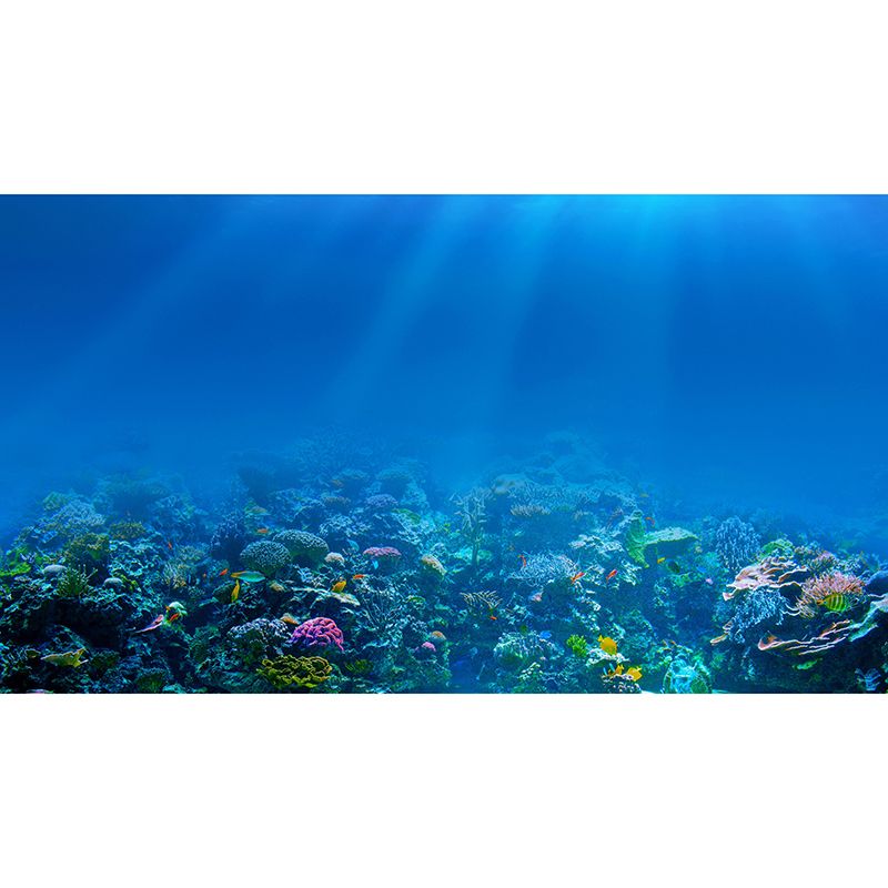 Tropical Sea Creatures Wall Covering for Sleeping Room Stain Resistant