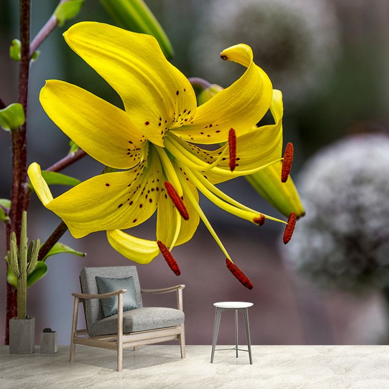 Lily Blooming Mural Wallpaper Stain Resistant Wall Covering for Sitting Room