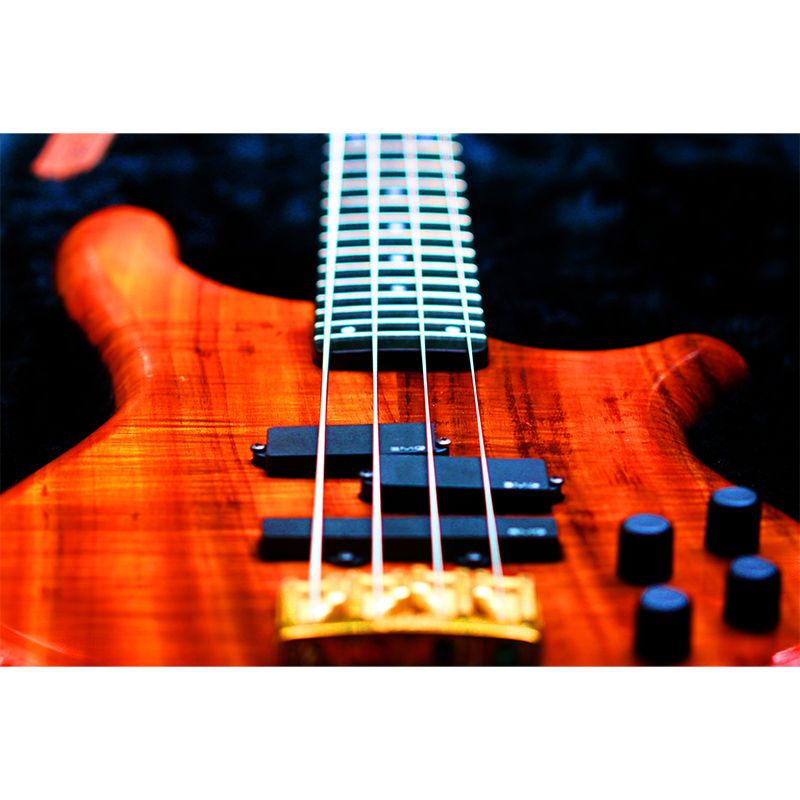 Minimalist Style Guitar Instrument Wall Mural for Playroom, Personalized Size