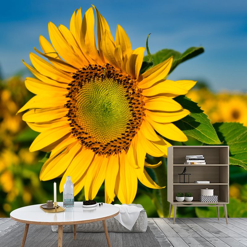 Yellow Sunflower Simple Mural for Bedroom Water Resistant, Made to Measure