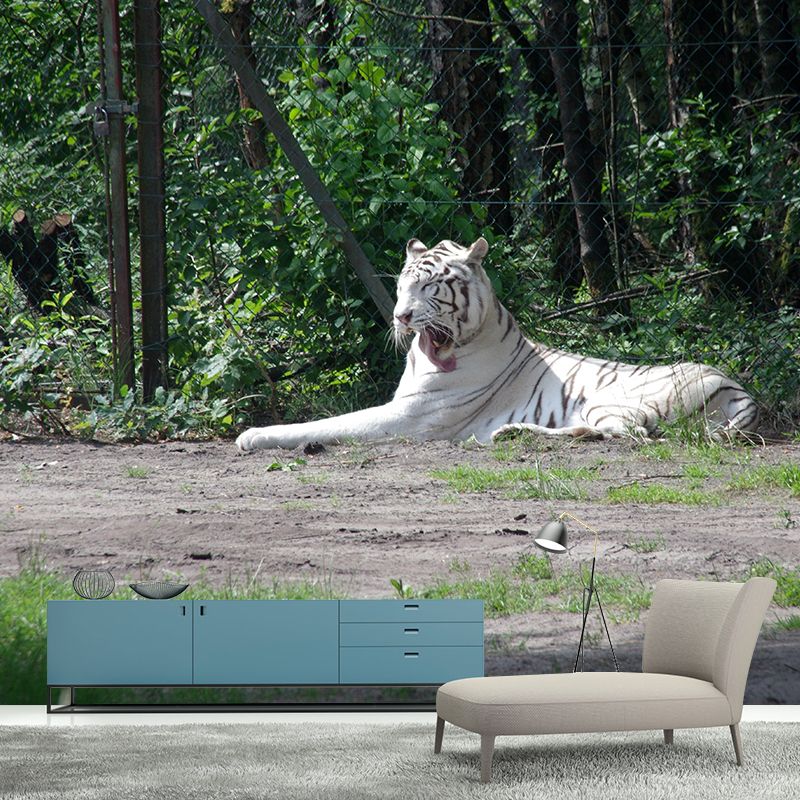 Tiger Animal Wall Mural Stain Resistant Wall Covering for Living Room Bedroom