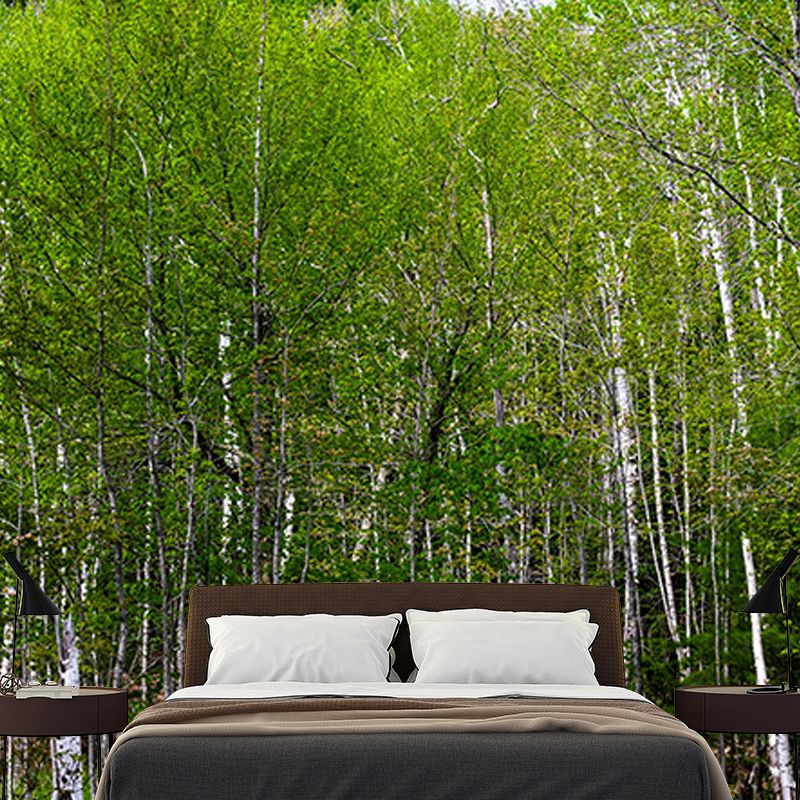 Forest Photo Wall Mural for Living Room Bedroom Wall Decor, Made to Measure