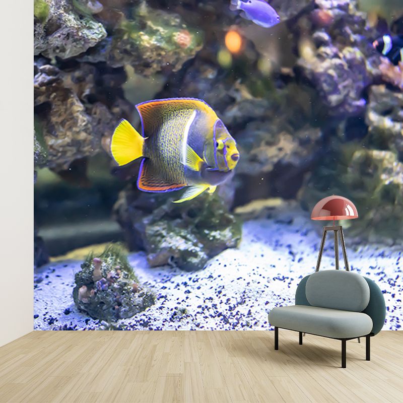 Photography Wall Mural Tropical Fish Printed Sitting Room Wall Mural