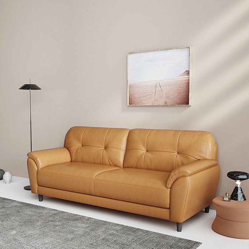 Stain Resistant Contemporary Pillow Top Arm Standard Settee Couch