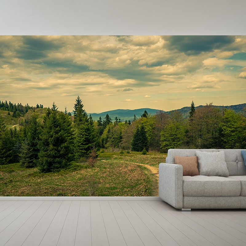 Forest 3D Print Contemporary Mural Horizontal Photography Bedroom Wall Mural