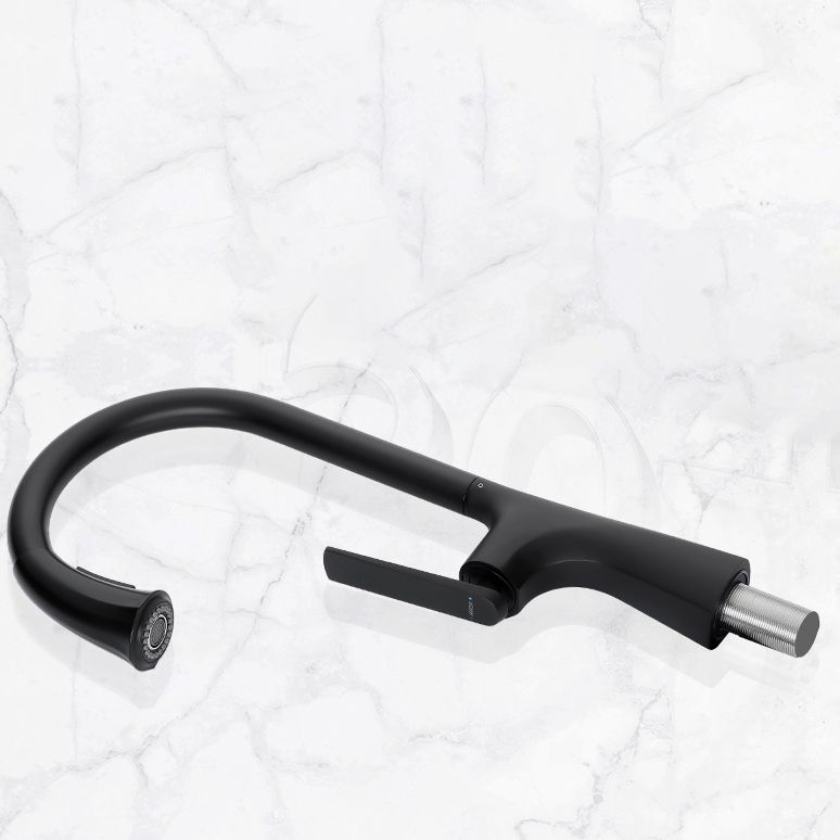 Contemporary Kitchen Faucet Gooseneck Swivel Spout with Pull Out Sprayer