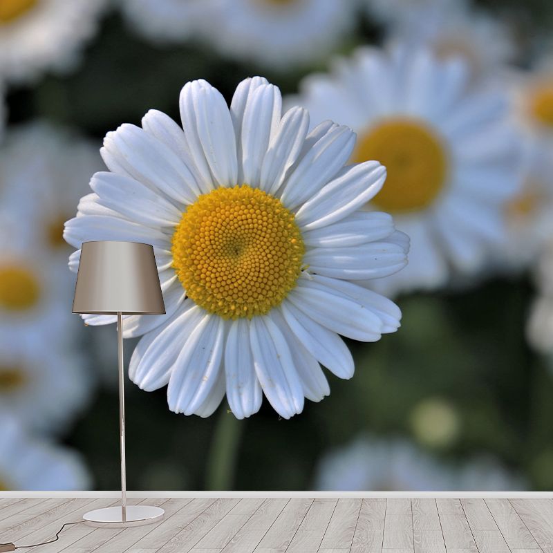 Blooming Flower Mural Modern Eco-friendly Wall Covering for Sitting Room