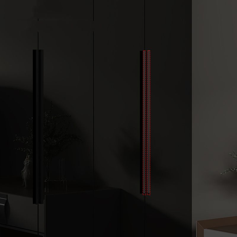 Modern Style Glass Wardrobe Black Colour Wardrobe Closet for Bedroom