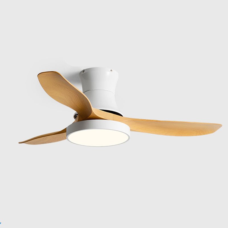 Metal Ceiling Fan Light Modern Style 1 Light Ceiling Fan Lamp for Living Room