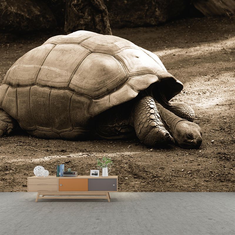 Customized Giant Tortoise Wall Mural Wallpaper Horizontal Photography for Sitting Room