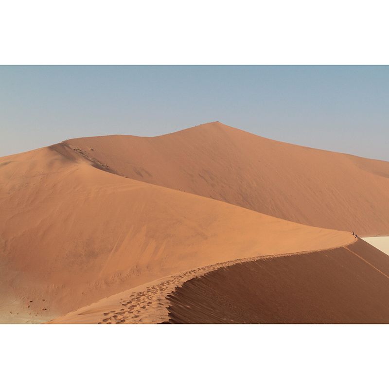 Living Room Wall Mural Wallpaper Modern Desert Mildew Resistant Wall Decor