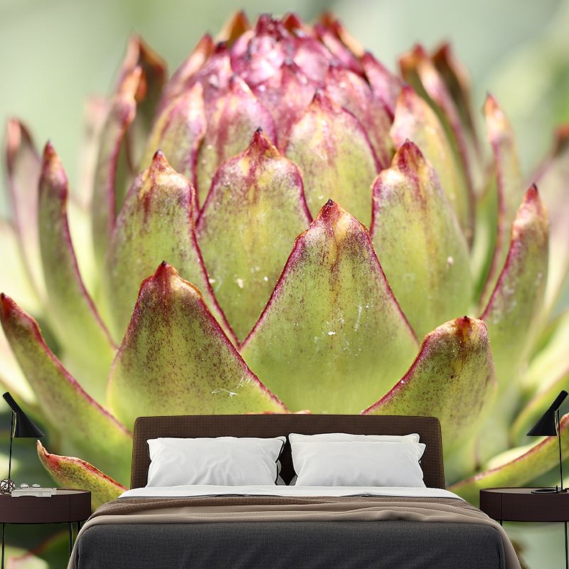 Artichoke Plant Full Size Wall Covering for Reading Room Home Decoration