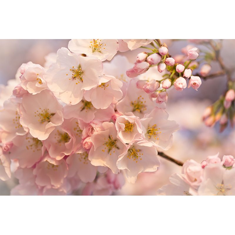 Contemporary Flower Print Mural Wallpaper White Living Room Wall Art, Custom Printed