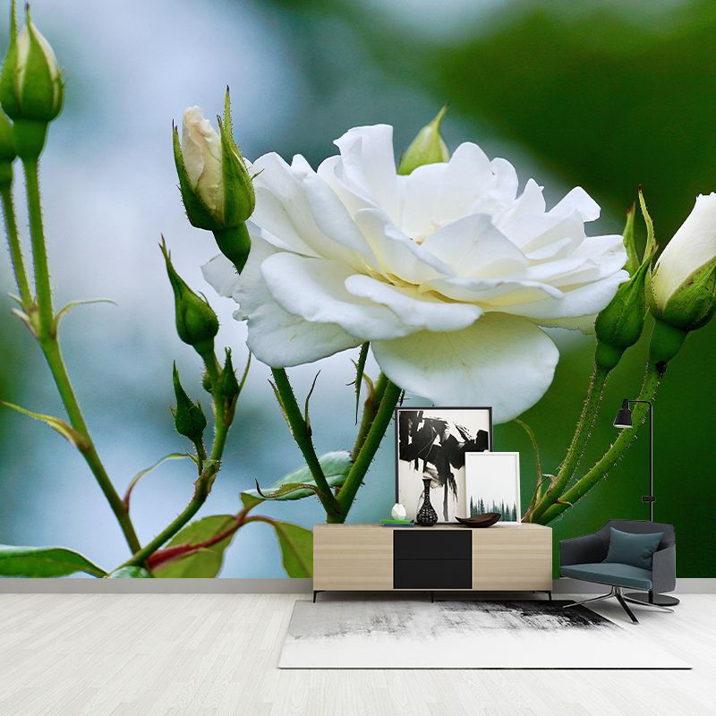 Beautiful Rose Mural Wallpaper Mildew Resistant for Living Room Bedroom Decor