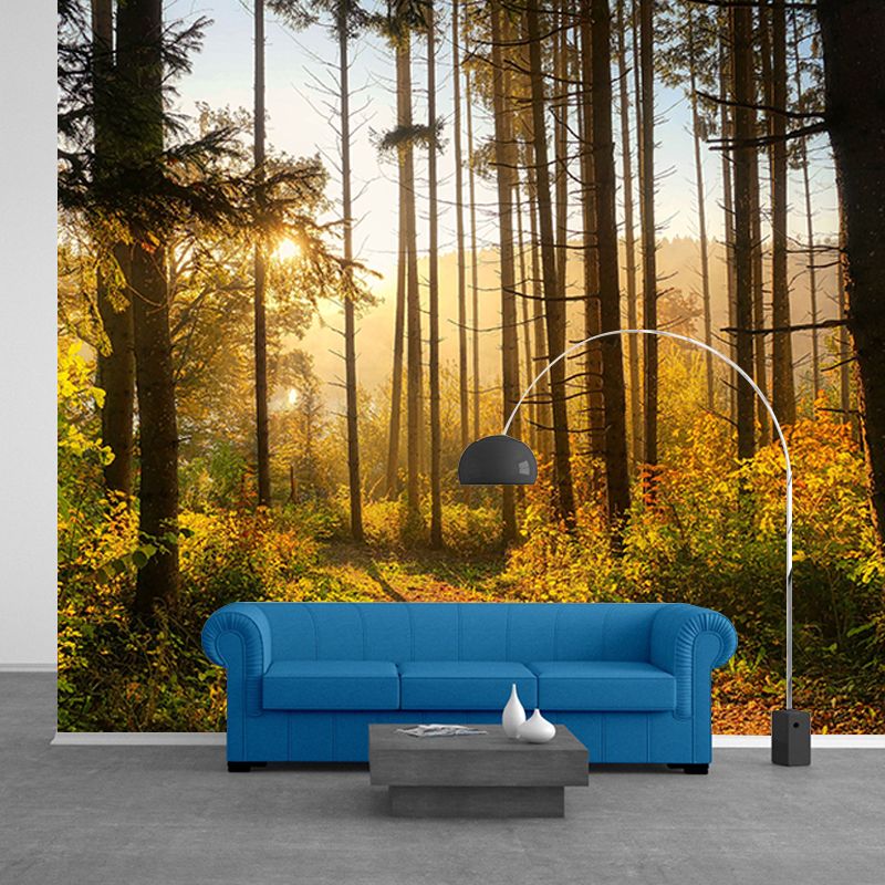 Forest Scenery Wall Mural Simple Moisture Resistant Wall Decor for Living Room