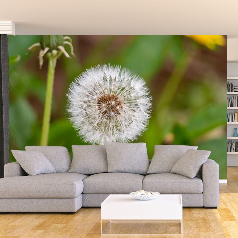 Minimalism White Dandelion Plant Murals Wallpaper Waterproof Bedroom Wall Decoration