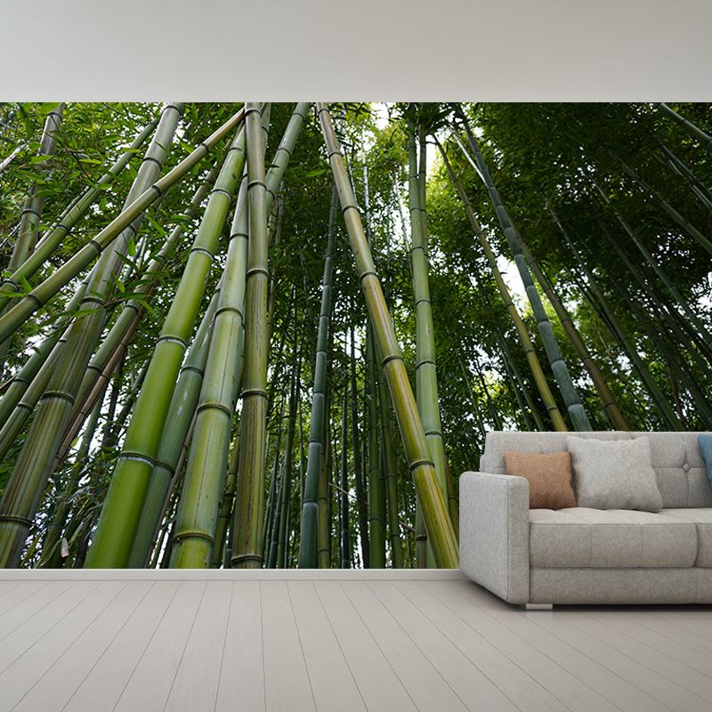 Green Bamboo Wall Decor for Bedroom Living Room Waterproofing, Made to Measure