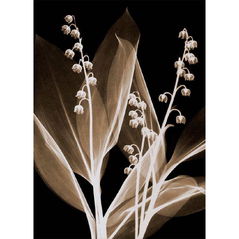 Modern Cape Gooseberry Wall Murals Grey-Coffee Living Room Wall Decor, Custom Made