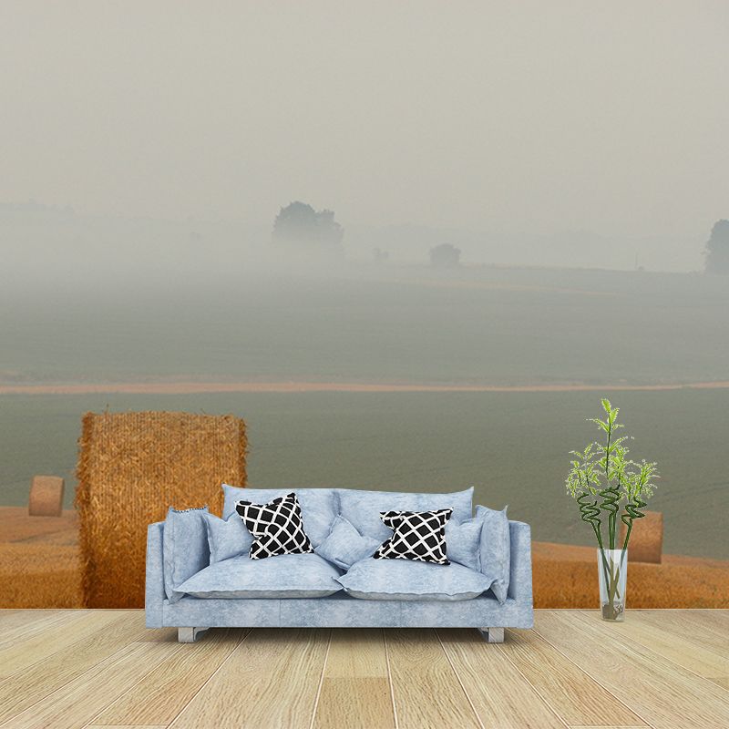 Beautiful Photography Mural Wallpaper Wheat Field Indoor Wall Mural