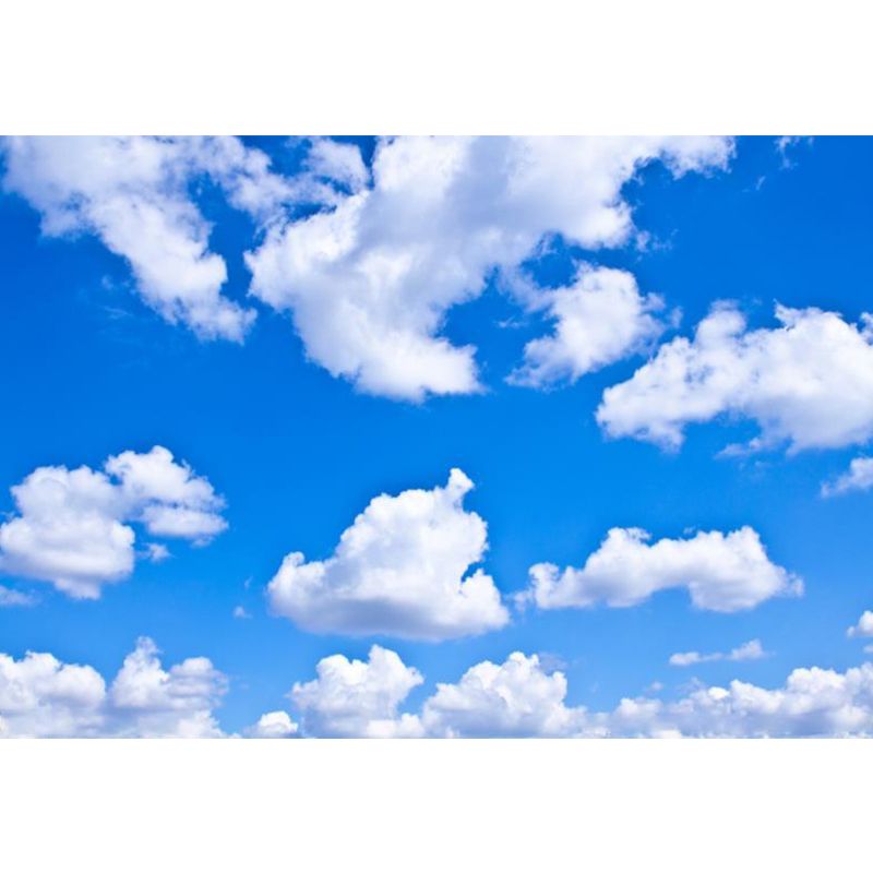 Huge Sky View Mural for Bathroom Natural Landscape Wall Art in Light Color, Stain Resistant