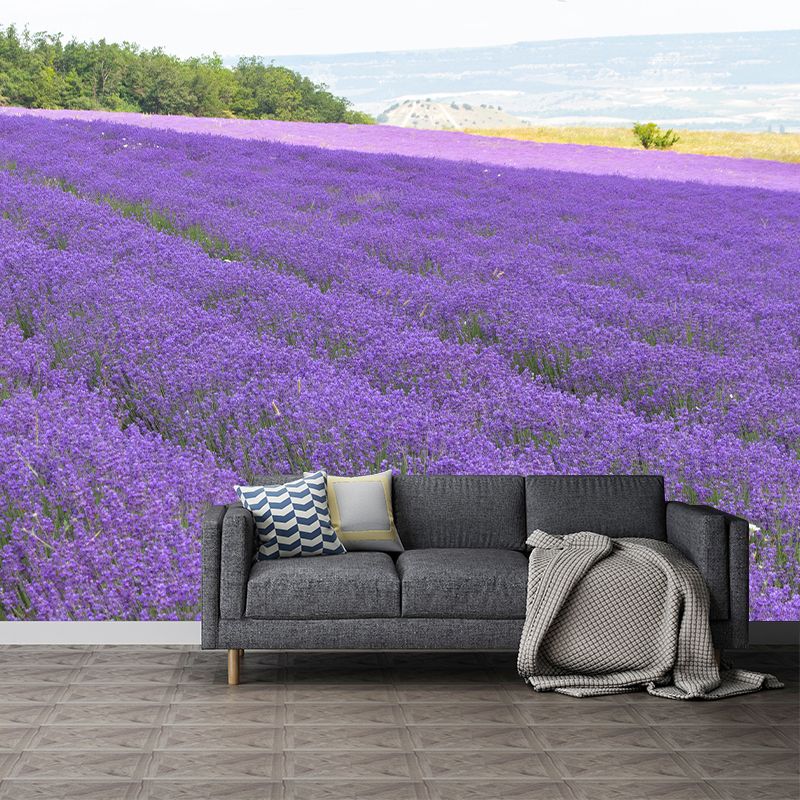 Purple Lavender Field Mural Wallpaper Contemporary Wall Covering for Sleeping Room