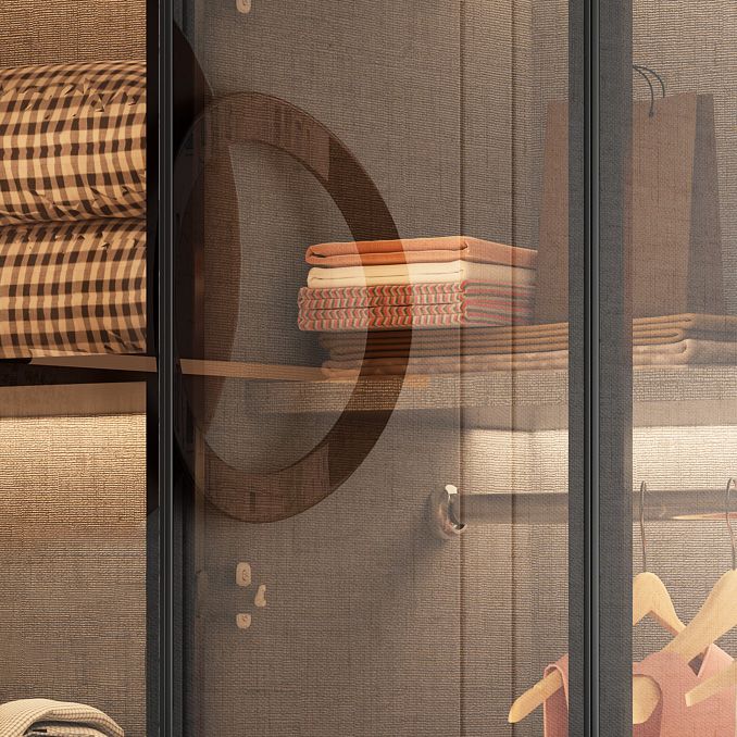 Modern Glass Wardrobe Cloth Rod Included Wardrobe Closet without Light