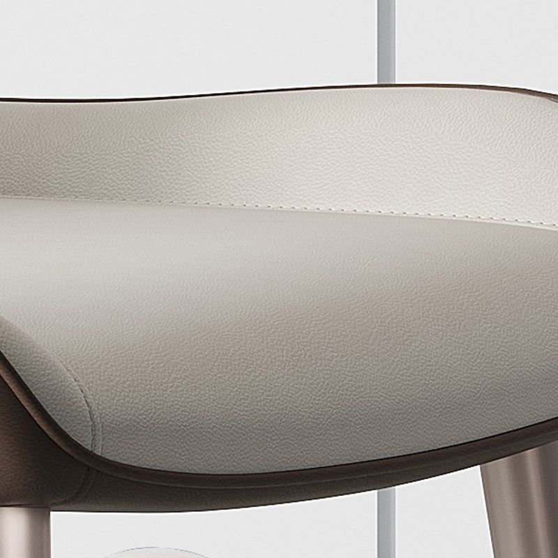 Modern Style Side Chair Metal Solid Back Dining Room Chair for Kitchen