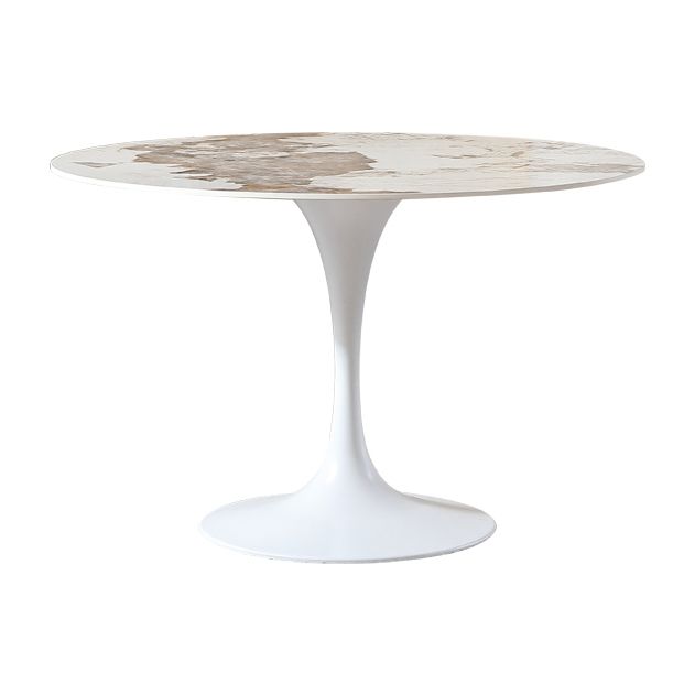 Ronde tulp Base Dinette Table Simplicity Style Dining Site Table voor binnen