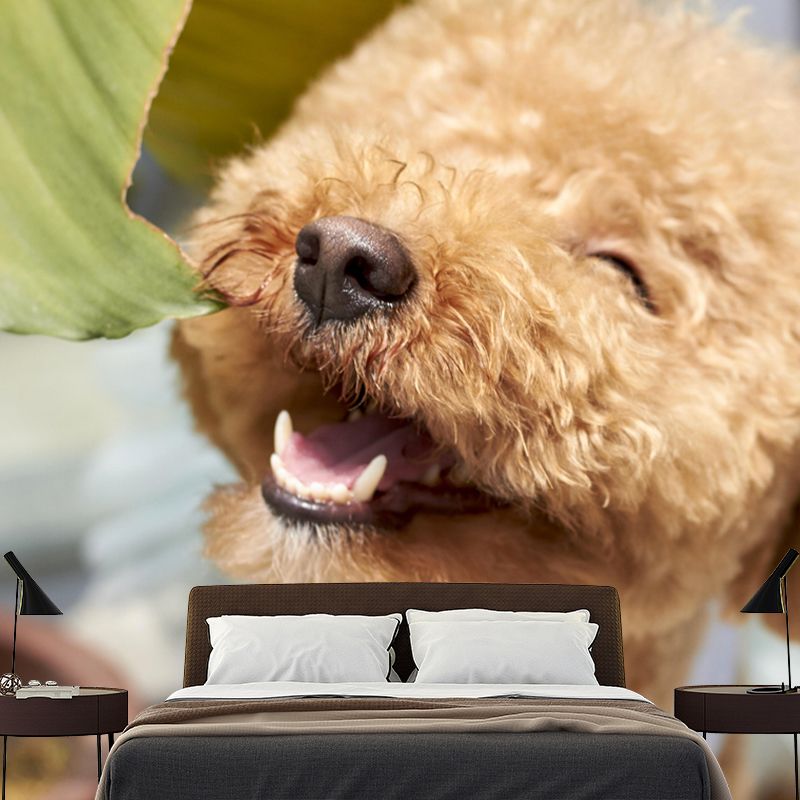 Lovely Poodle Mural Wall Decor Living Room Wall Covering for Decoration