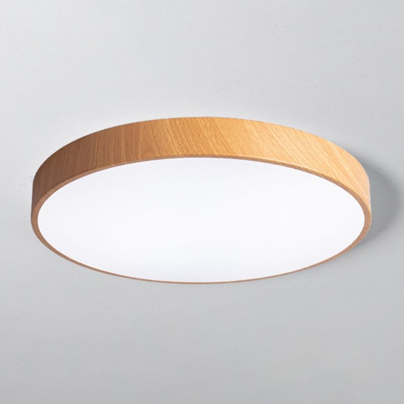 Modern Style Circle Shape Ceiling Lighting Metal 1 Light Ceiling Lighting for Living Room