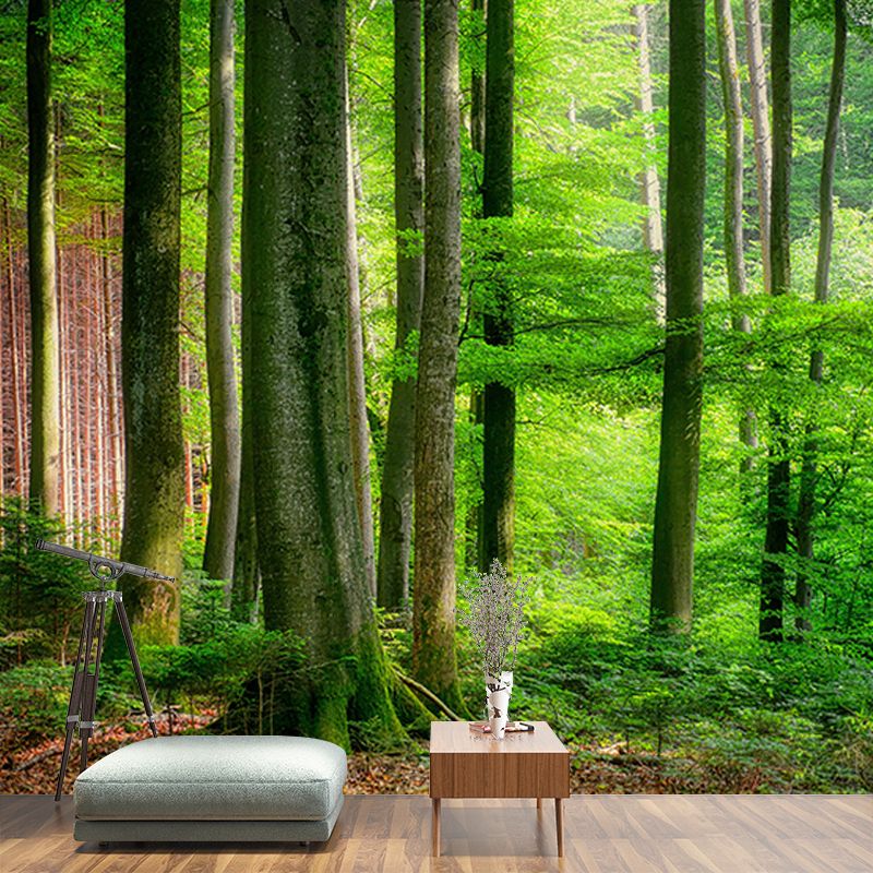 Forest Landscape Wall Mural Moisture Resistant Wall Decor, Personalized Size