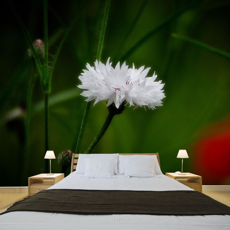 Customized Cornflower Mural Wallpaper Waterproofing Wall Decor for Meeting Room