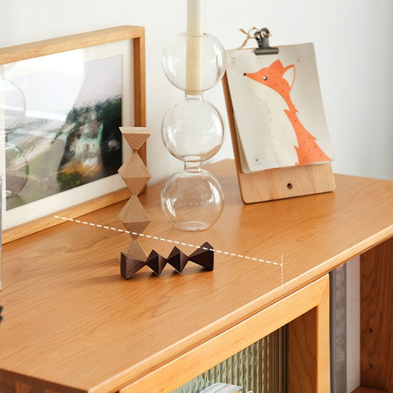 Closed Back Bookshelf Solid Wood Contemporary Bookcase with Doors